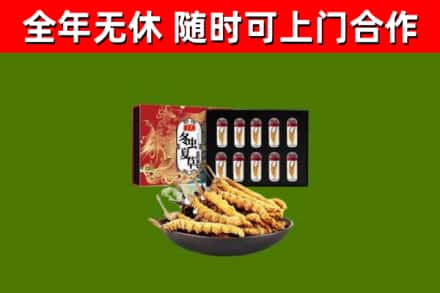 甘南市烟酒回收冬虫夏草礼盒.jpg